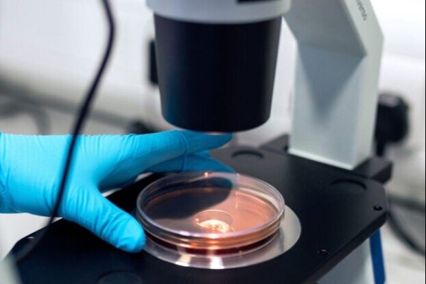 Rijnstate-2-scaled-e1641982092891-2048x1244-1-768x466-1